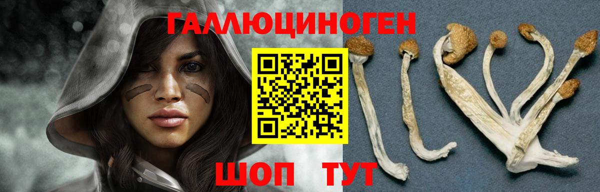 Галлюциногенные грибы Cubensis  Галлюциногенные грибы мухоморы  Вход с VPN  Баксан 